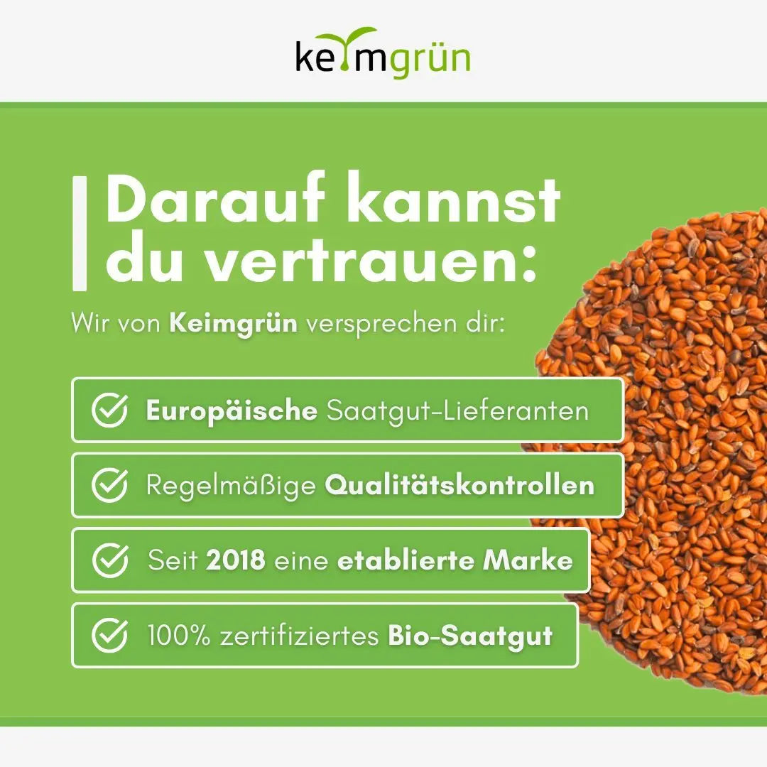 Kresse Samen image 5