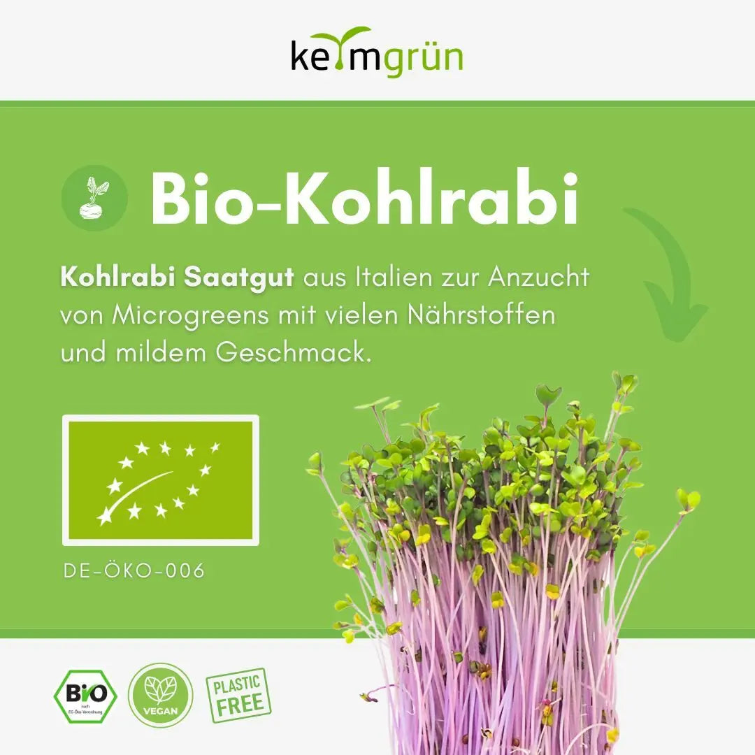 Roter Kohlrabi Samen image 1