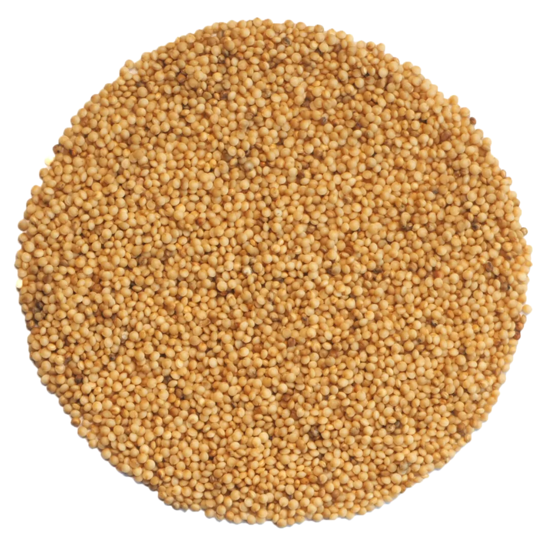 Roter Amaranth image 0