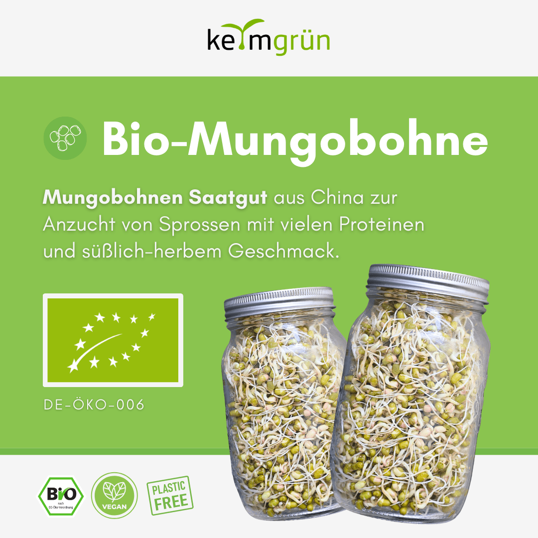 Mungobohnen Bio - Keimsaat - Keimgrün