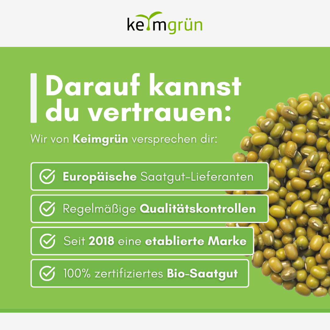 Mungobohnen Bio - Keimsaat - Keimgrün