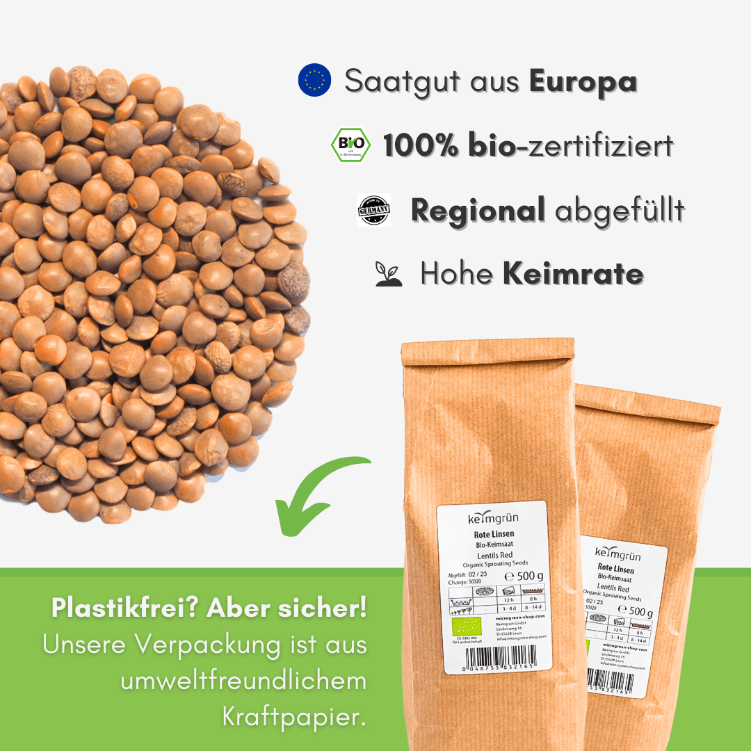 Rote Linsen Bio - Keimsaat - Keimgrün