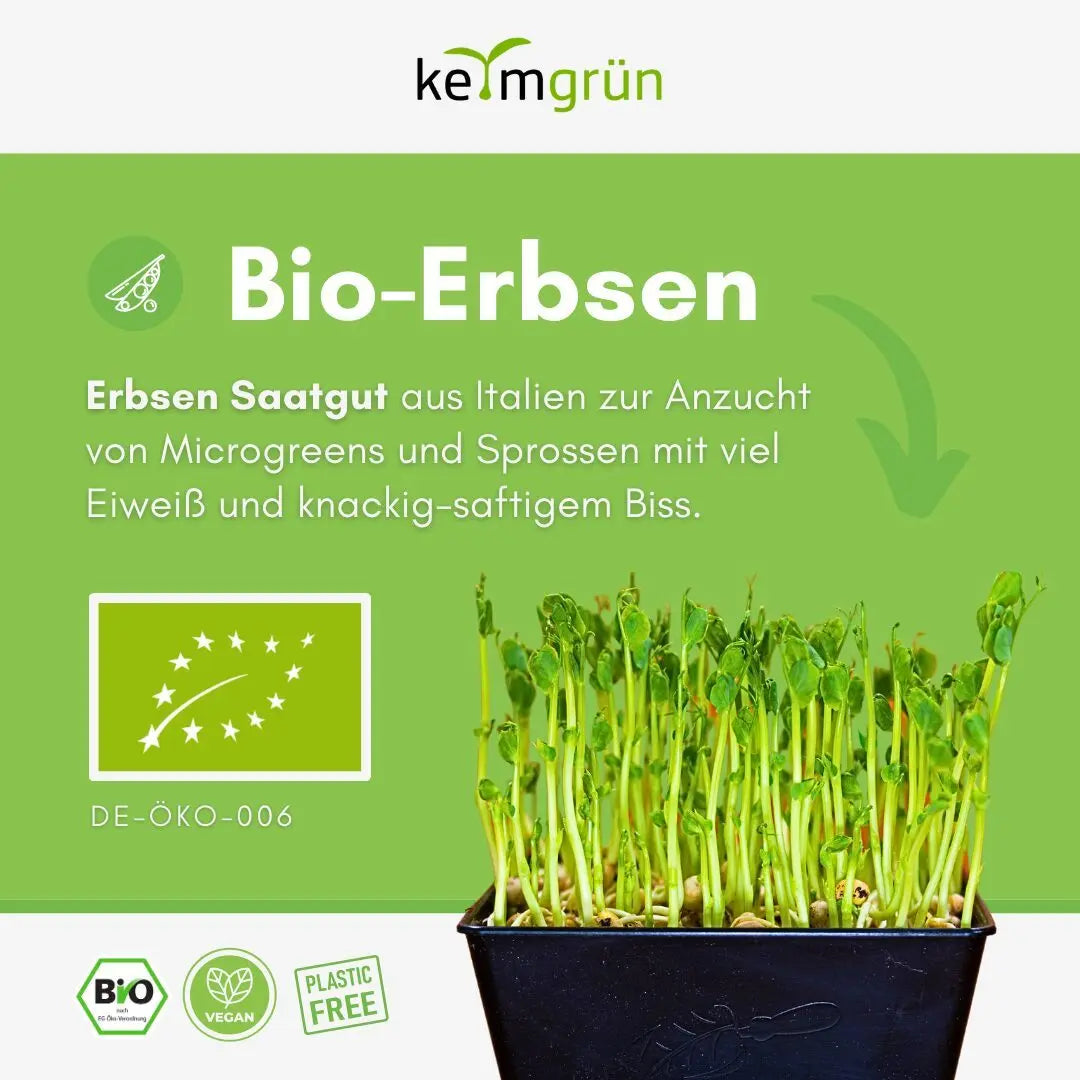 Erbsen Samen image 1