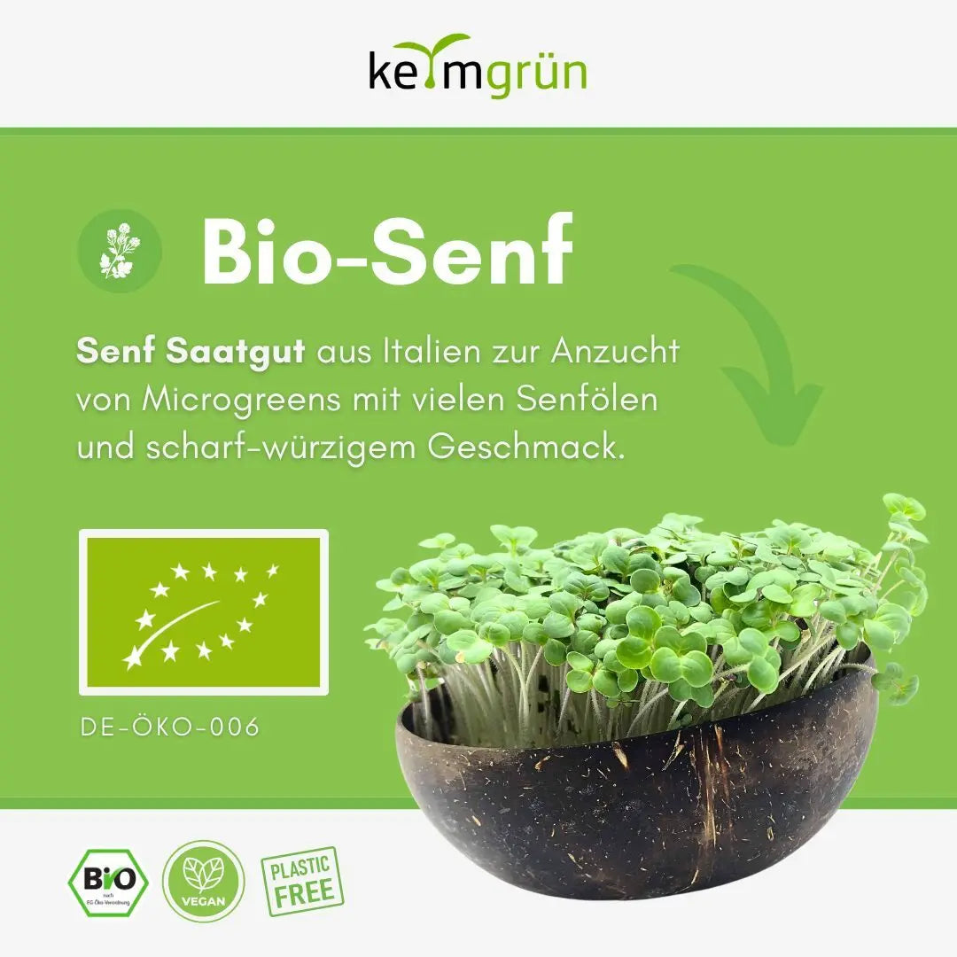 Senf Samen image 1