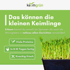 Erbsen Samen image 4