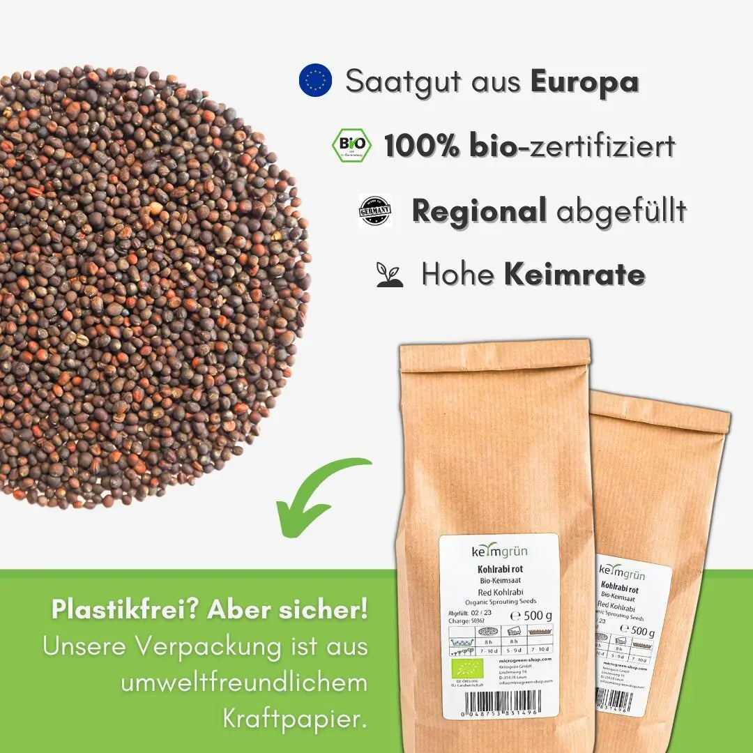 Roter Kohlrabi Samen image 2