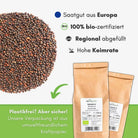 Roter Kohlrabi Samen image 2