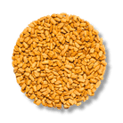 Bockshornklee Bio - Keimsaat - Keimgrün