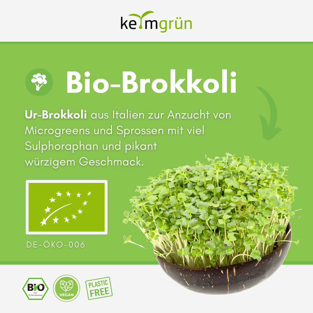 Brokkoli Bio - Keimsaat - Keimgrün