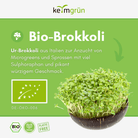 Brokkoli Bio - Keimsaat - Keimgrün