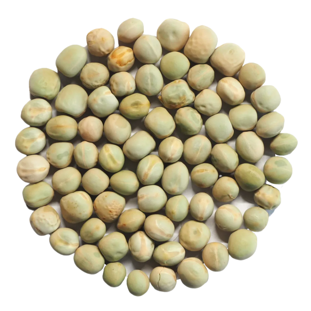 Erbsen Samen image