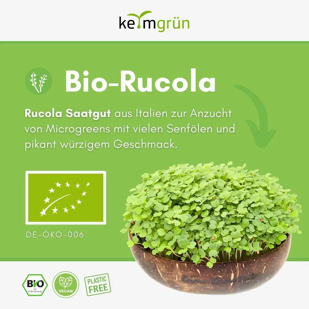 Rucola Samen image 1