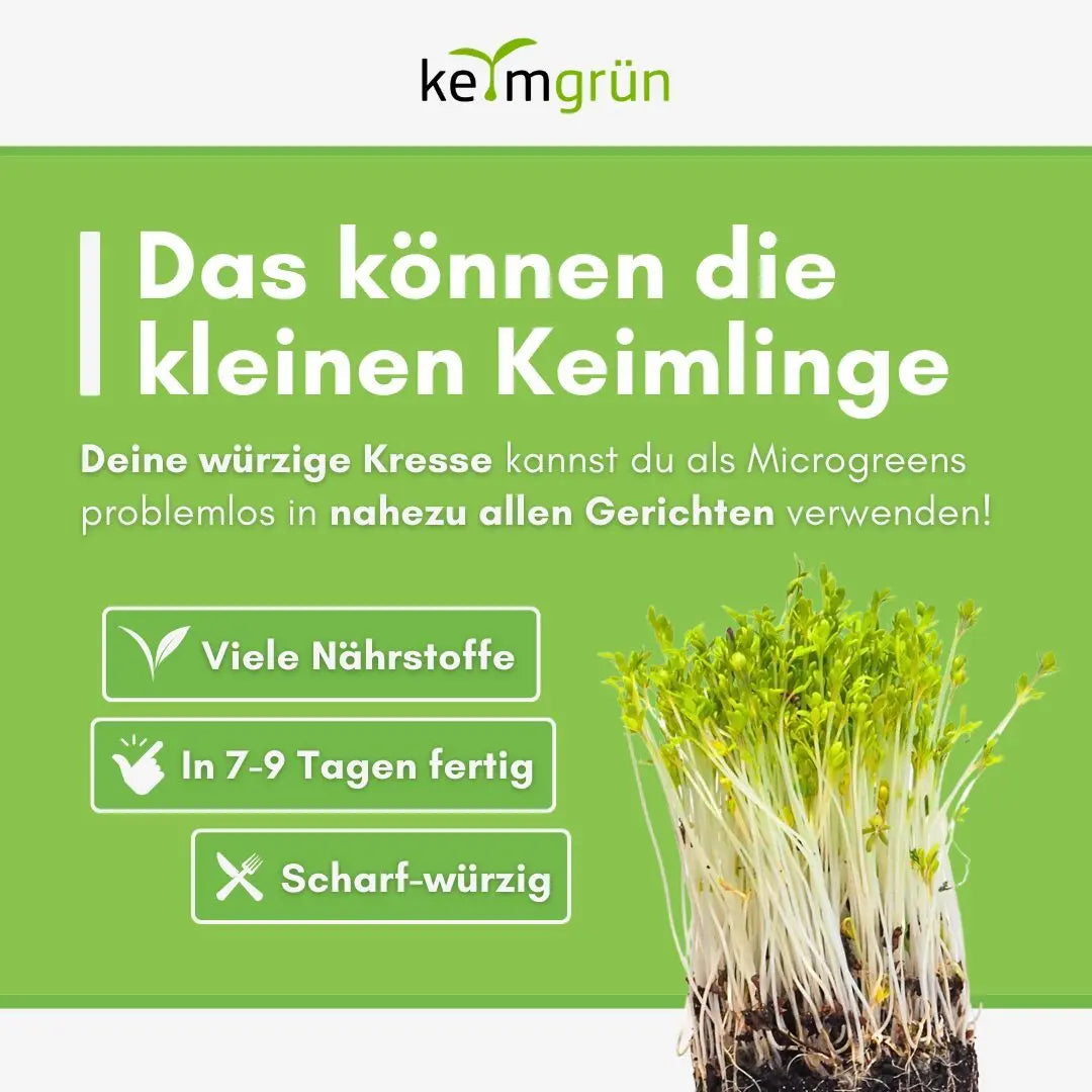 Kresse Samen image 4