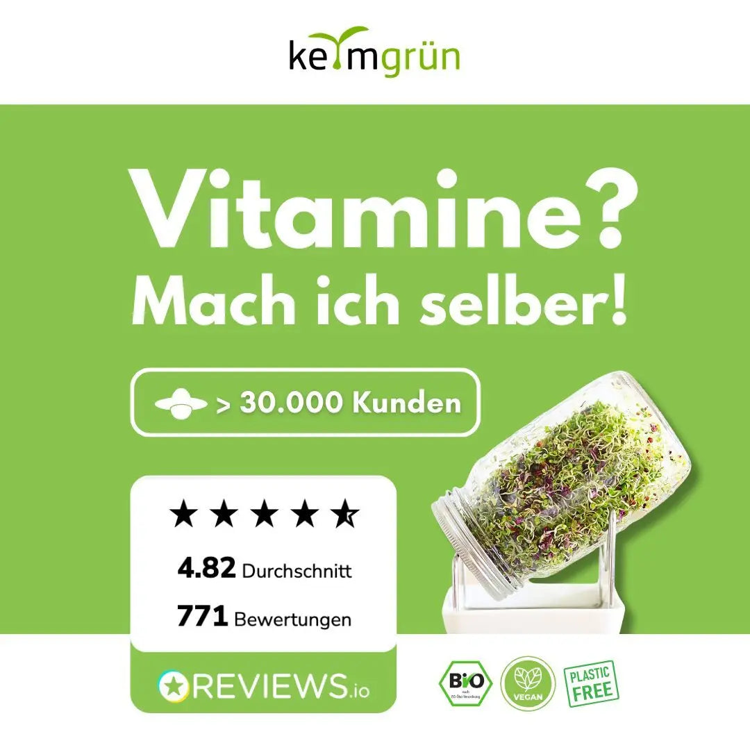 Rucola Samen image 6