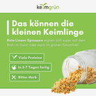 Grüne Linsen Bio - Keimsaat - Keimgrün