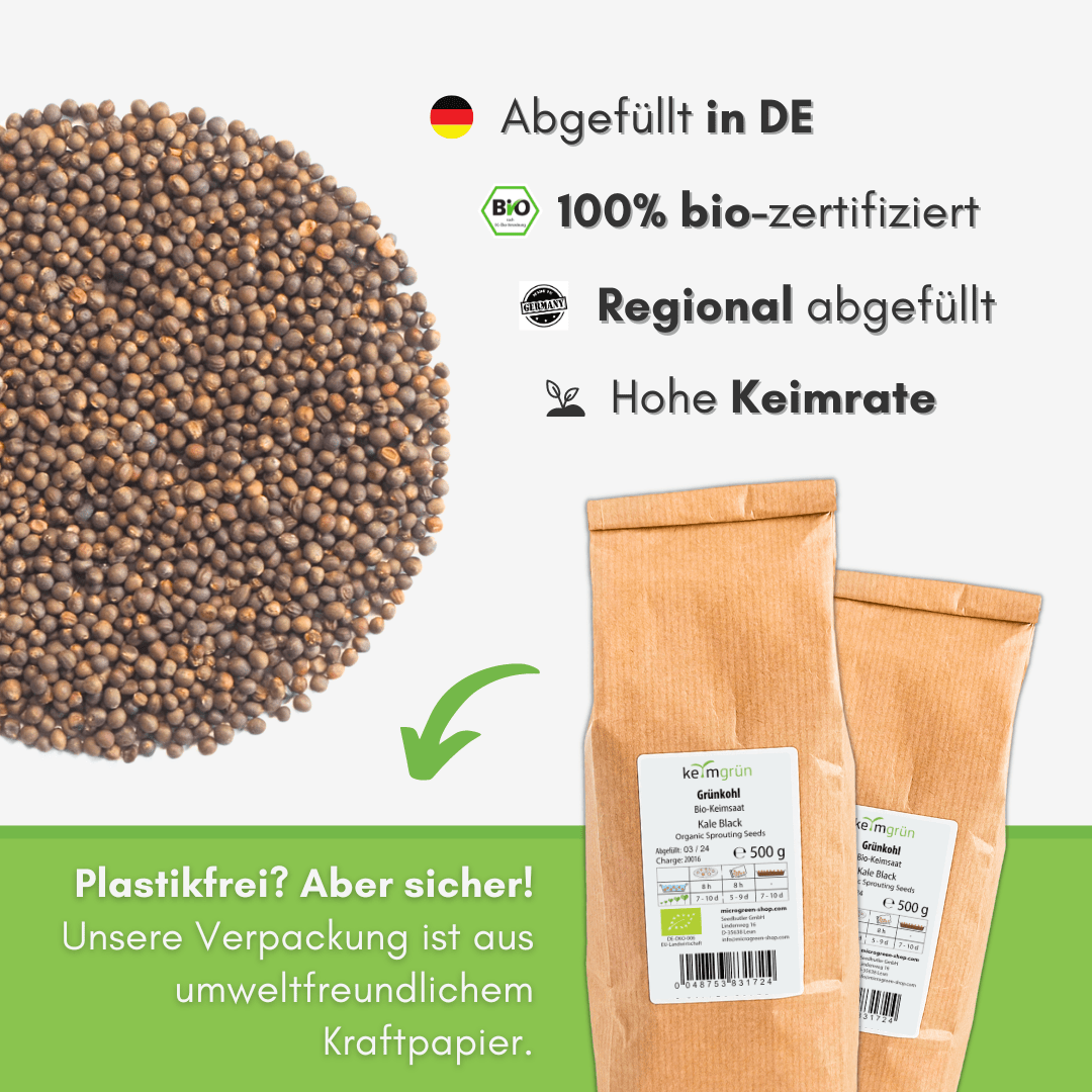 Grünkohl Bio - Keimsaat - Keimgrün