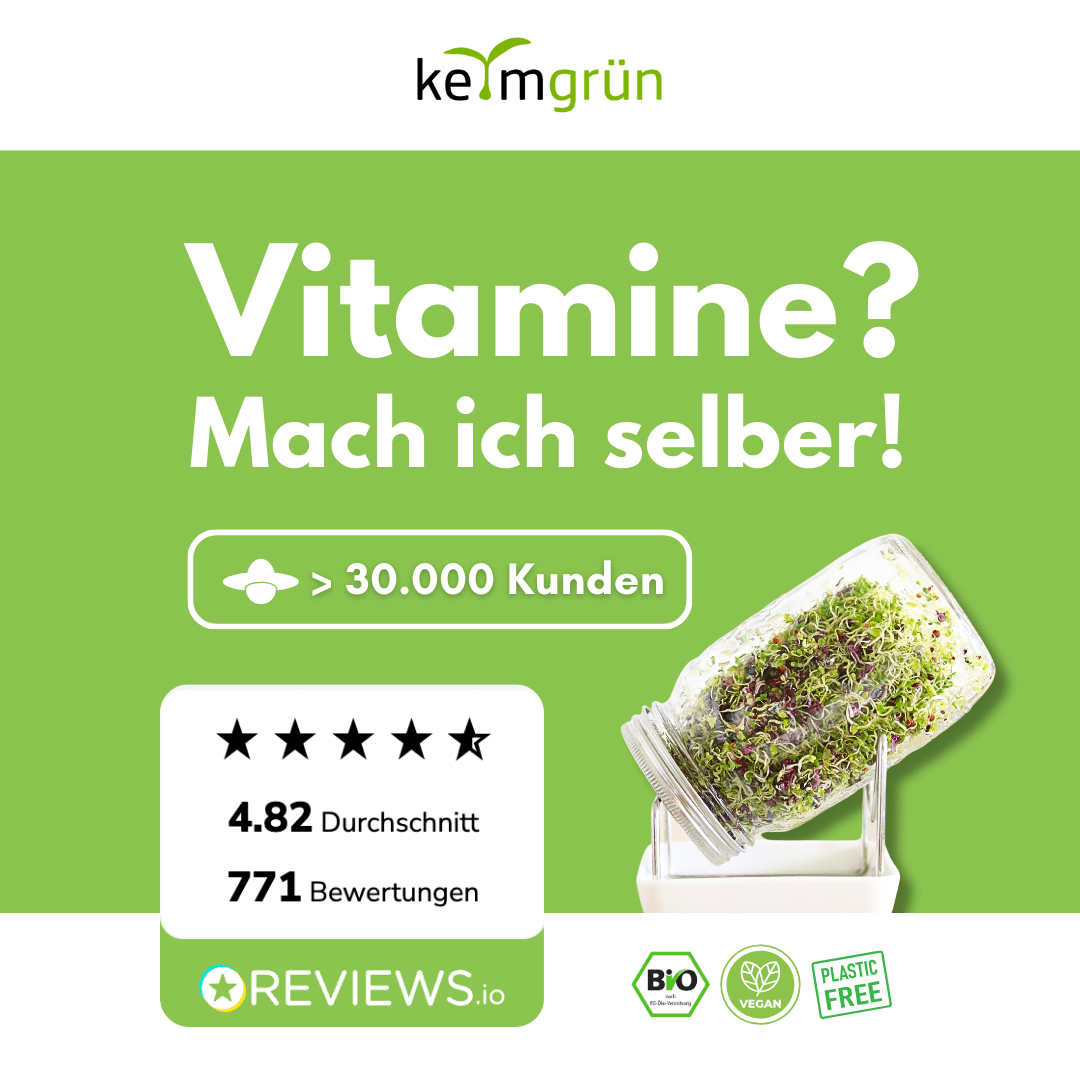 Grünkohl Bio - Keimsaat - Keimgrün