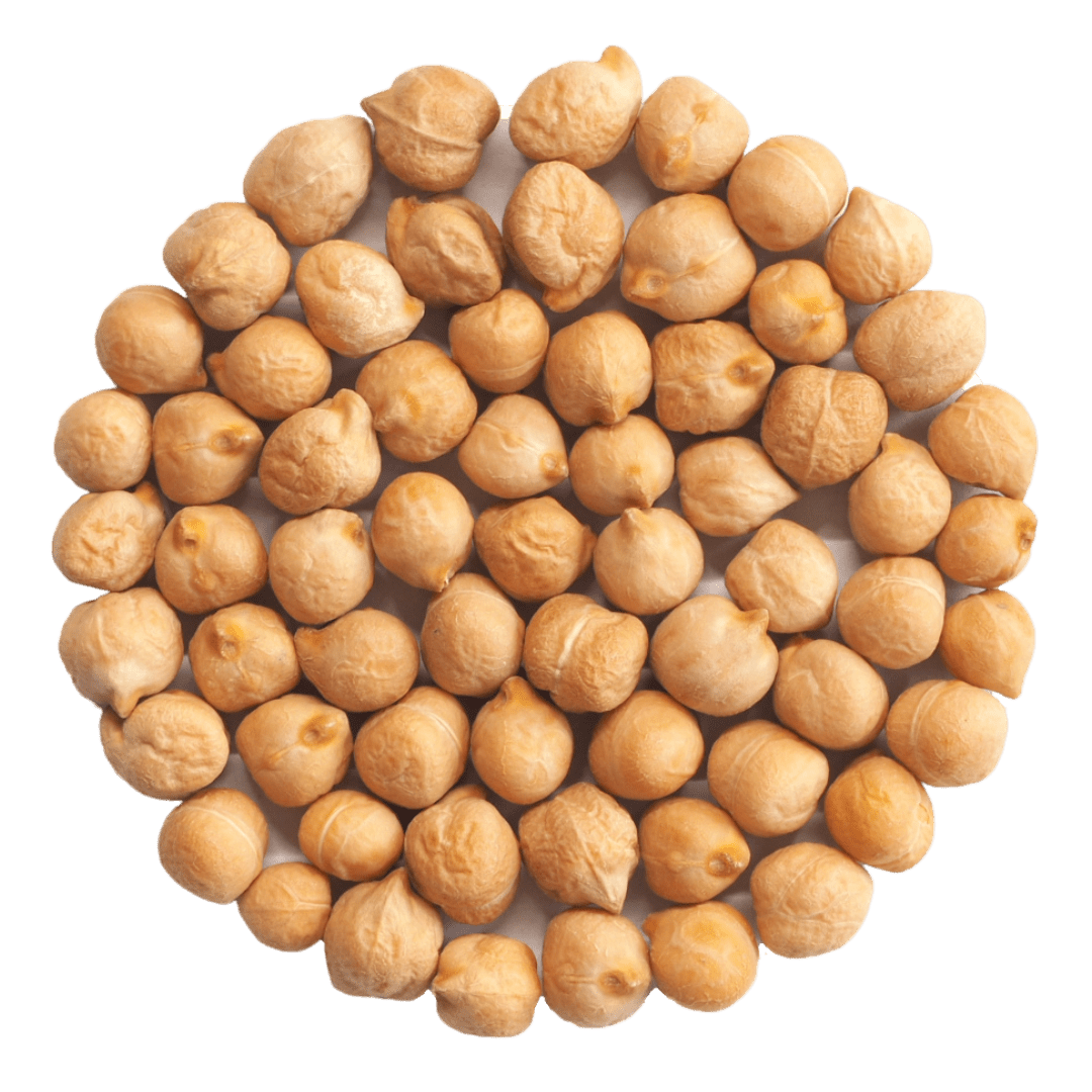 Kichererbsen Bio - Keimsaat - Keimgrün