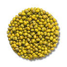 Mungobohnen Bio - Keimsaat - Keimgrün