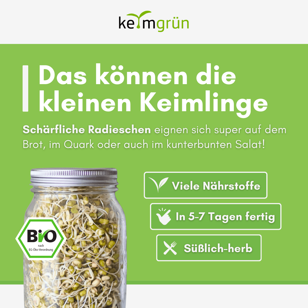 Mungobohnen Bio - Keimsaat - Keimgrün