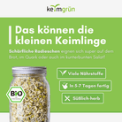 Mungobohnen Bio - Keimsaat - Keimgrün