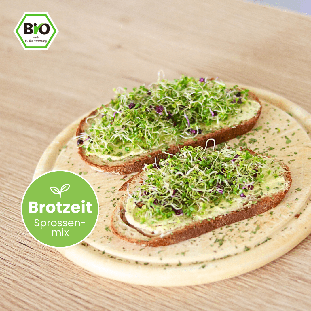 Sprossenmix "Brotzeit" Keimsaat - Keimgrün