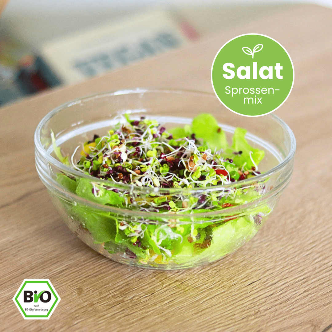 Sprossenmix "Salat" Keimsaat - Keimgrün